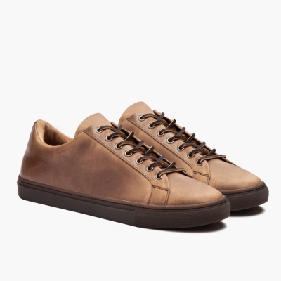 Low Top Sneakers Thursday Boots Premier Hombre Marrom | MX7853401